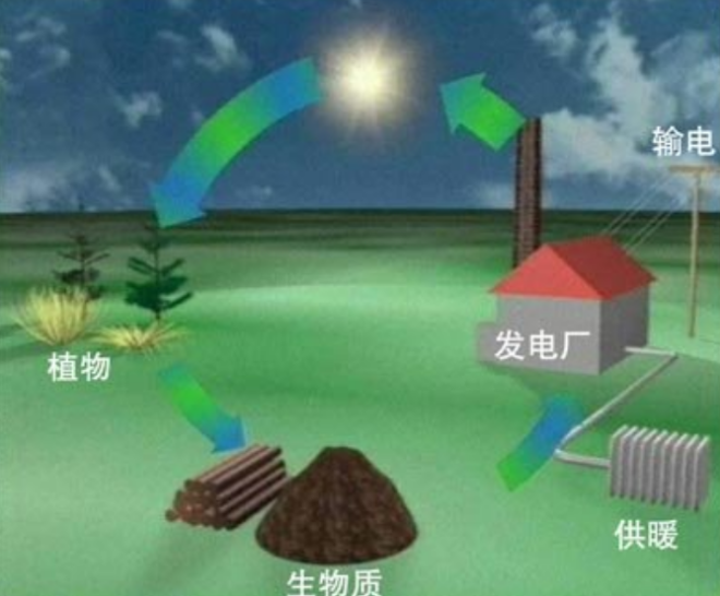 《2021中国生物质发电产业发展报告》重磅发布