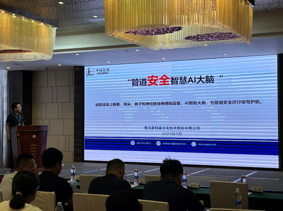 针对油气管线智能化管理问题在武汉召开《智能化管线管理系统提升需求专题研讨会》