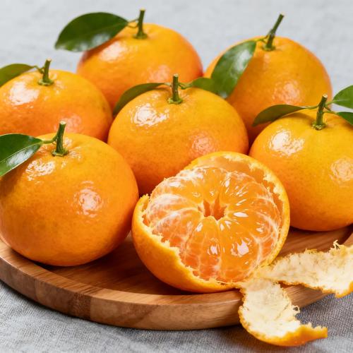 1765511211727482.jpeg 1765511211727482.jpeg