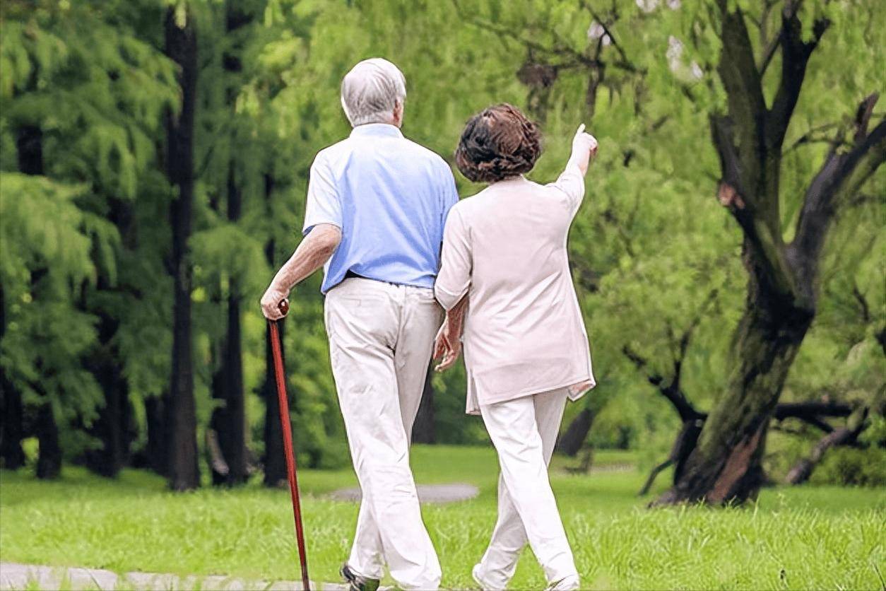 1765511344230867.jpeg 1765511344230867.jpeg